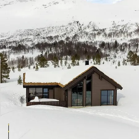 Tonningssaetra Mountain Holiday home *